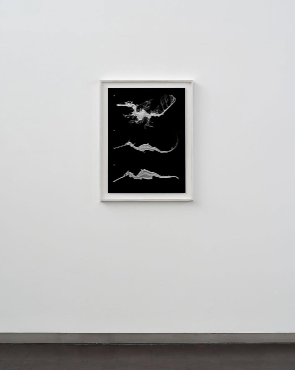 Thetis