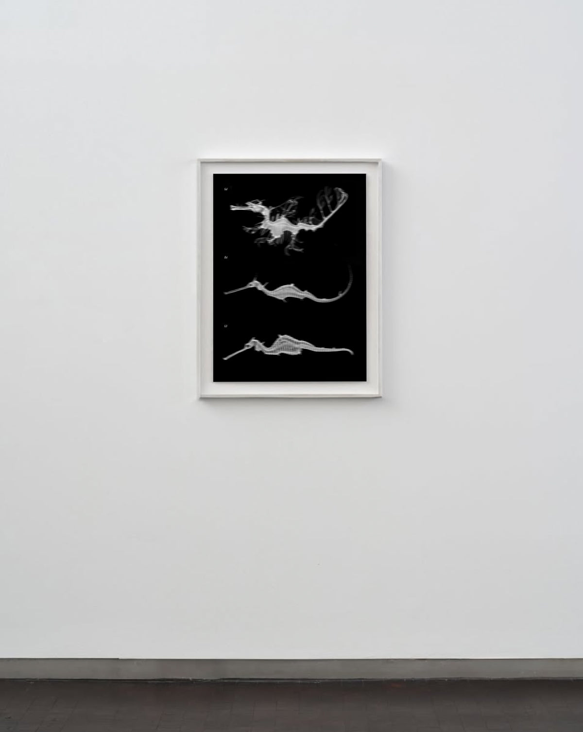 Thetis